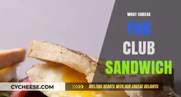 Perfect Cheese Pairings for the Ultimate Club Sandwich Experience