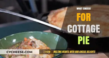 Perfect Cheese Pairings for Cottage Pie: Elevate Your Comfort Food Classic