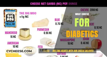 Best Cheese Choices for Diabetics: Healthy, Low-Carb Options to Enjoy