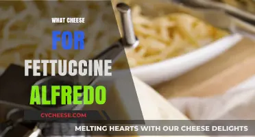 Perfect Fettuccine Alfredo: Best Cheese Choices for Creamy Bliss