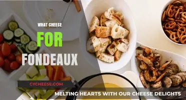 Perfect Cheese Pairings for Fondue: A Melty, Gooey Guide