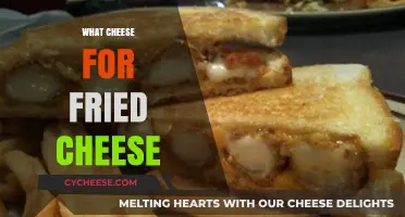 Best Cheeses for Perfectly Crispy Fried Cheese: A Melty Guide