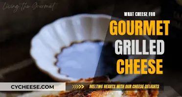 Gourmet Grilled Cheese: Melting the Perfect Cheese Sandwich
