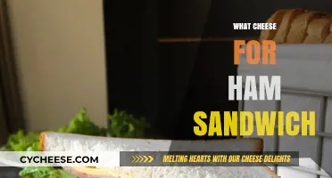 Perfect Ham Sandwich: Best Cheese Pairings for Ultimate Flavor Harmony