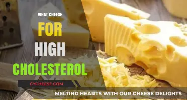 Healthy Cheese Choices: Lowering Cholesterol with Smart Dairy Options
