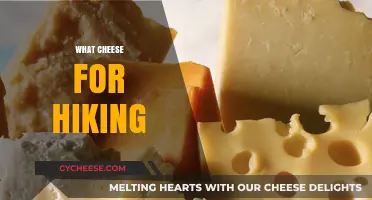 Best Cheese Varieties for Hiking: Portable, Energizing, and Delicious Picks