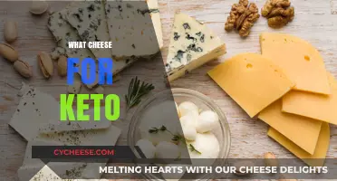 Keto-Friendly Cheese Guide: Best Low-Carb Options for Your Diet