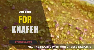 Perfect Cheese for Knafeh: Top Picks for Creamy, Melty Delight