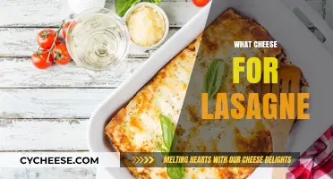Perfect Lasagne Cheese Guide: Top Choices for Creamy, Melty Layers