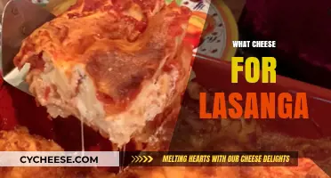 Perfect Lasagna Cheese Guide: Top Choices for Creamy, Melty Layers