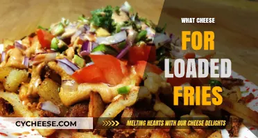 Perfect Cheese Pairings for Ultimate Loaded Fries: A Flavor Guide