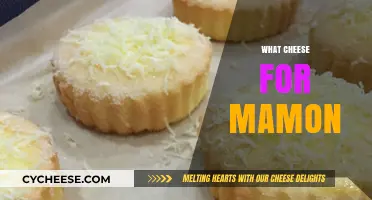 Perfect Cheese Pairings for Mamon: Elevate Your Filipino Treat Experience