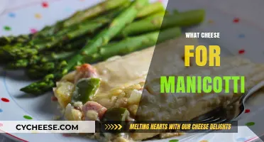 Perfect Manicotti Cheese Combinations: Elevate Your Italian Dish with These Tips