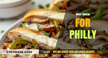 Best Cheese for Philly Cheesesteaks: Top Picks and Tips