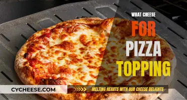 Cheese Options for Your Pizza Toppings