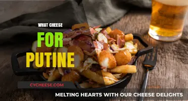 Perfect Cheese Pairings for Poutine: Elevate Your Classic Canadian Dish