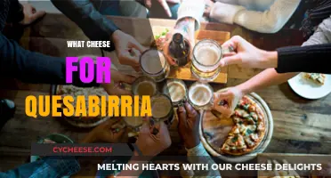 Perfect Cheese Pairings for Quesabirria: Elevate Your Tacos with Flavor