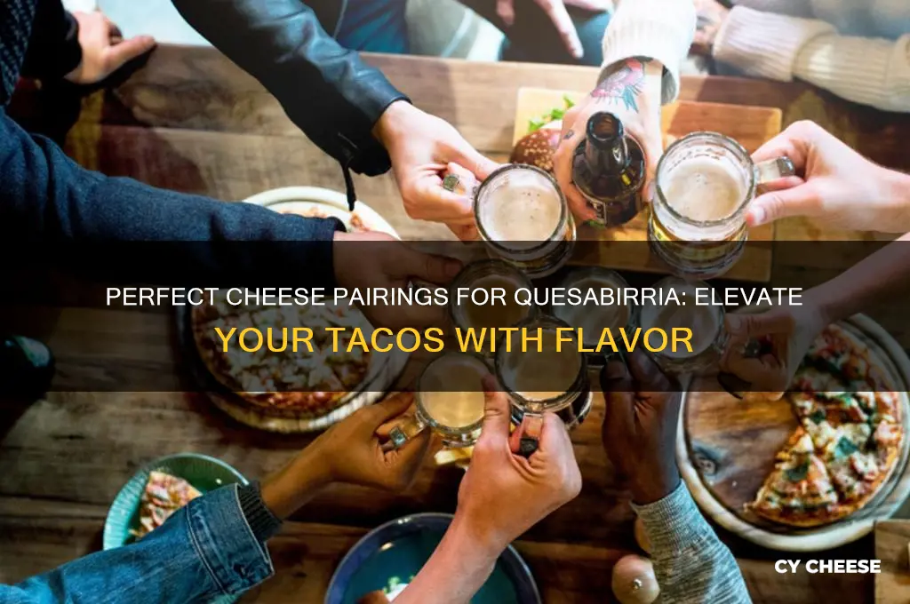 what cheese for quesabirria