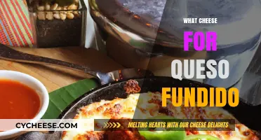 Perfect Cheese Choices for Creamy, Melty Queso Fundido Delight