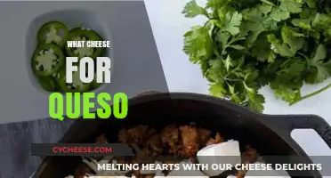 Perfect Cheese for Queso: Top Melty, Creamy, Flavorful Picks