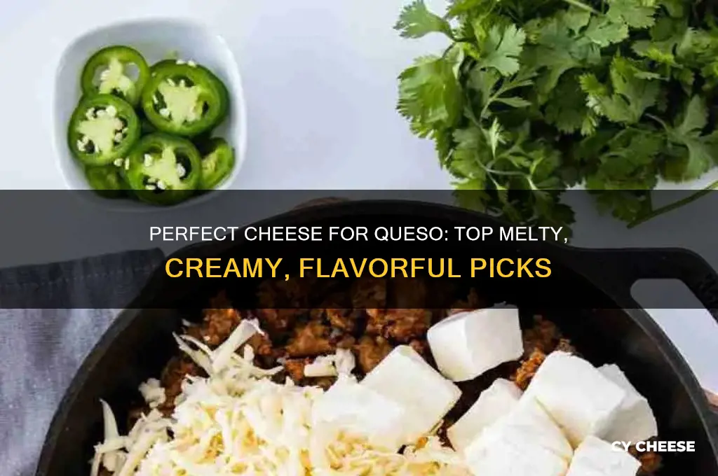 what cheese for queso