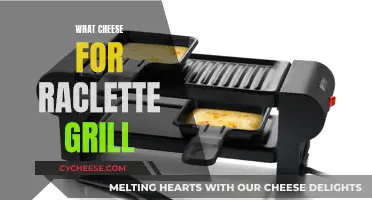 Cheese Options for Your Raclette Grill