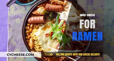 Perfect Cheese Pairings to Elevate Your Ramen Experience Instantly