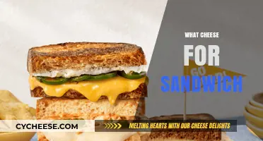 Perfect Pairings: Best Cheese Choices for Your Ultimate Sandwich Creation