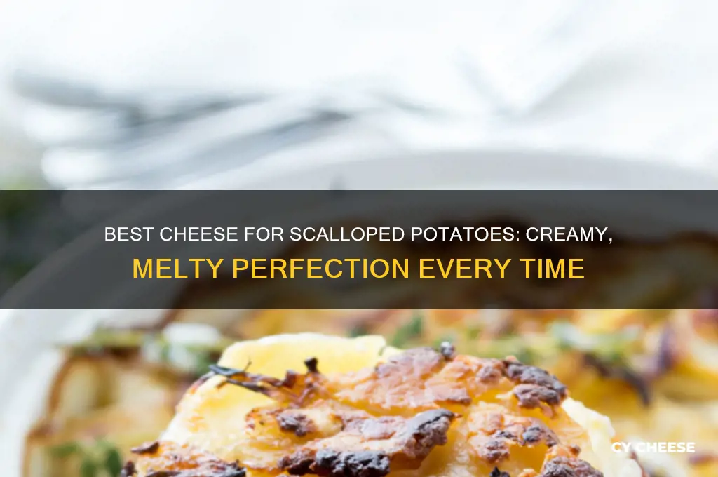 what cheese for scalloped potatoes do you let the potatoes