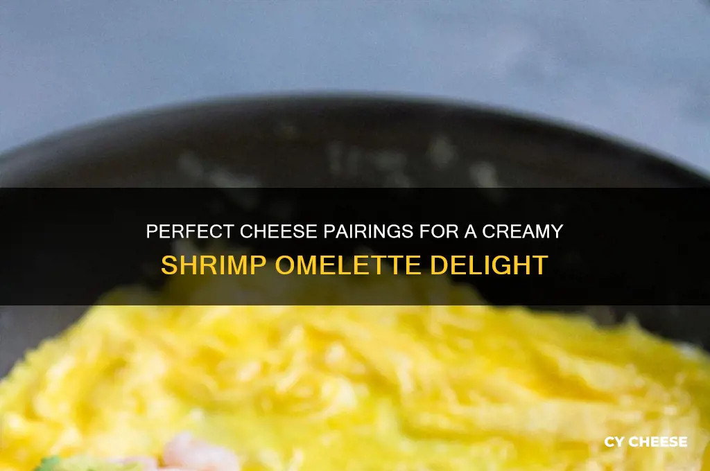 what cheese for shrimp omelette