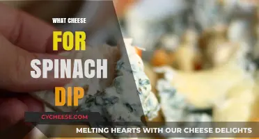Best Cheese Pairings for Creamy Spinach Dip: A Flavor Guide