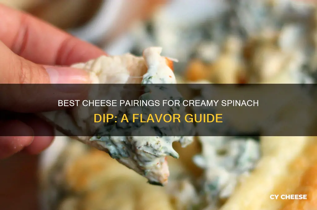 what cheese for spinach dip