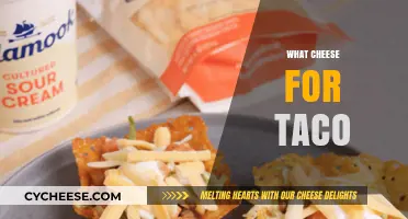 Perfect Cheese Pairings for Tacos: Top Melty, Crumbly, and Spicy Options