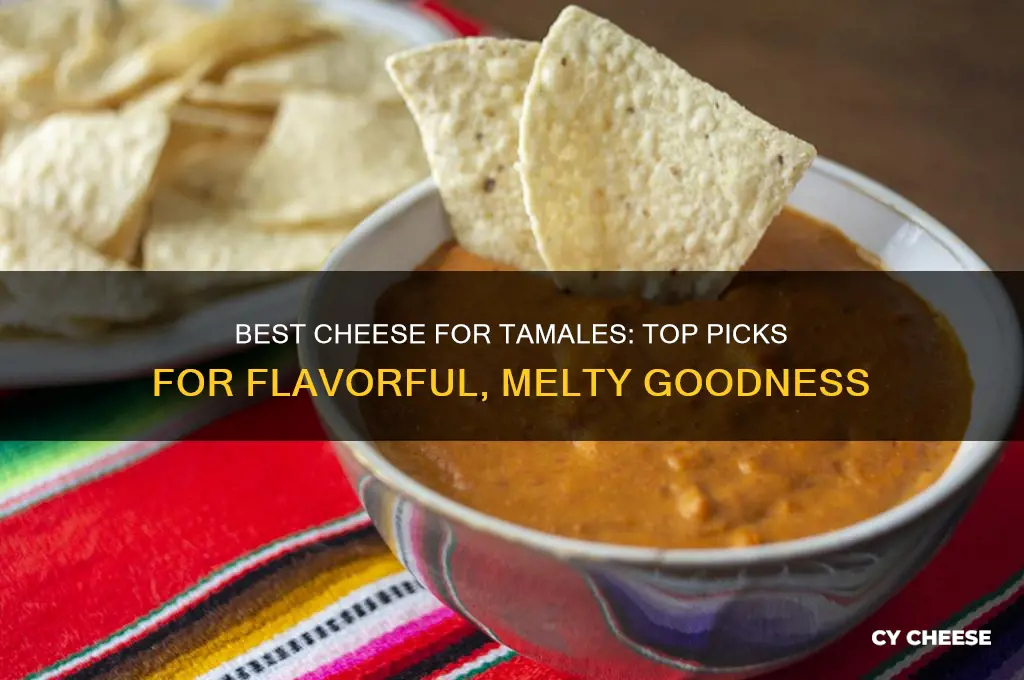 what cheese for tamales