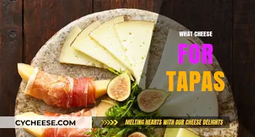 Perfect Pairings: Best Spanish Cheeses for Your Tapas Platter