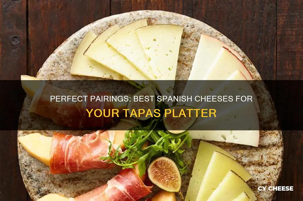 what cheese for tapas