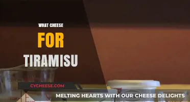 Unexpected Twist: Best Cheese Alternatives for Classic Tiramisu Recipe