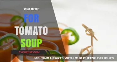 Perfect Pairing: Best Cheeses to Elevate Your Tomato Soup Experience
