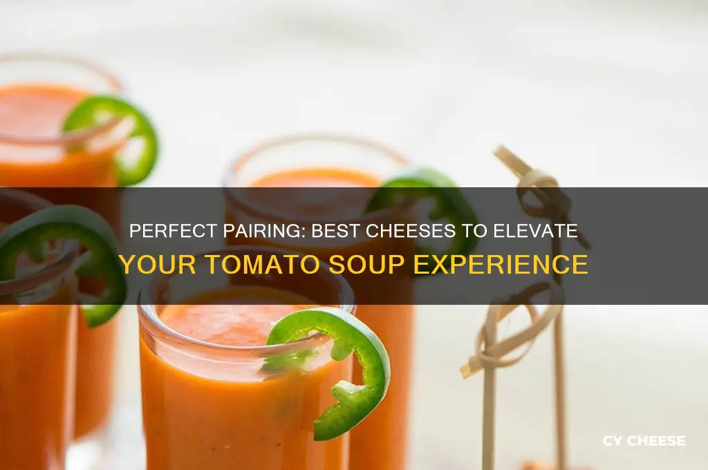 what cheese for tomato soup