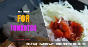 Perfect Cheese Pairings for Tonkatsu: Elevate Your Japanese Breaded Pork