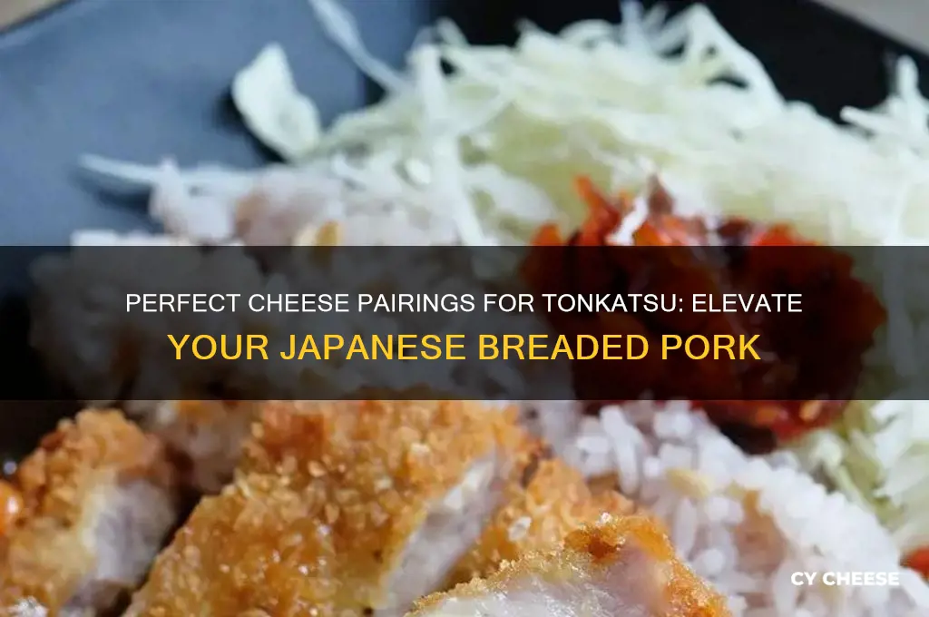 what cheese for tonkatsu