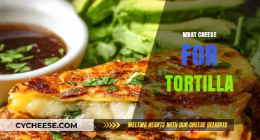Perfect Cheese Pairings for Tortillas: A Flavorful Guide to Delicious Choices