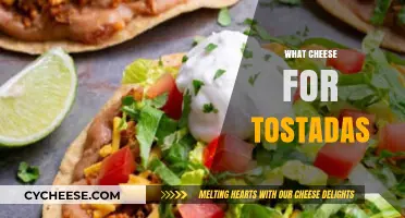Perfect Cheese Pairings for Tostadas: Elevate Your Crunchy Delight