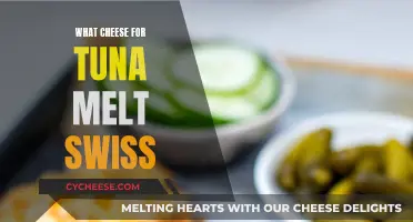 Cheese Choice for Tuna Melts: Swiss or Not?