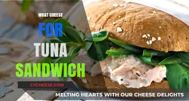 Perfect Cheese Pairings for Your Ultimate Tuna Sandwich Delight