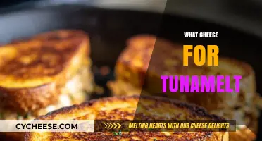 Perfect Cheese Pairings for the Ultimate Tunamelt Sandwich Delight