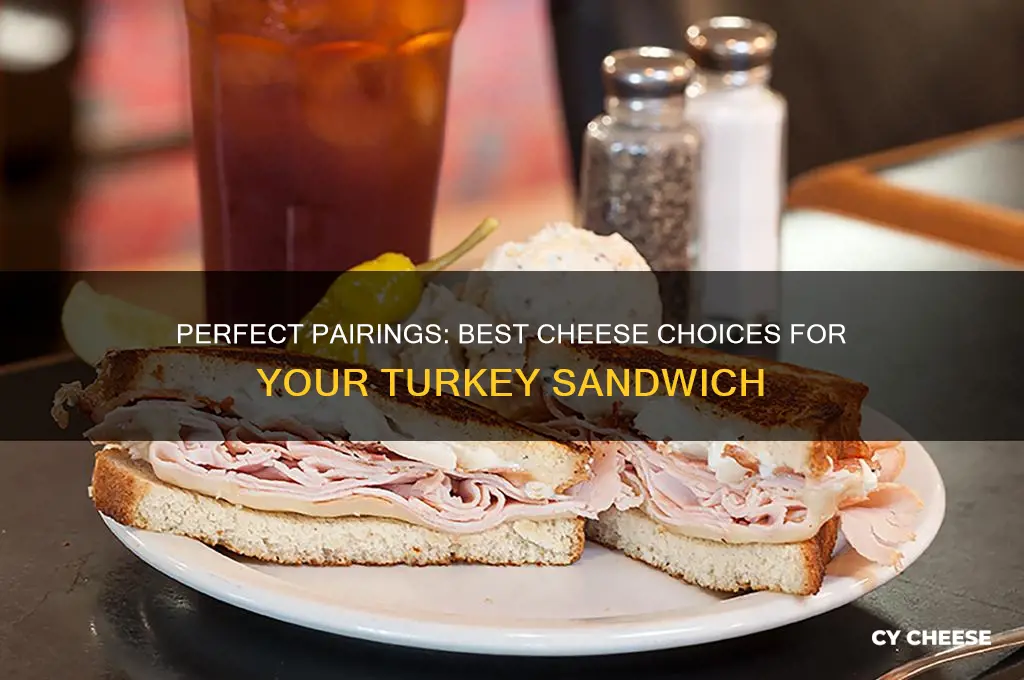 what cheese for turkey sandwich