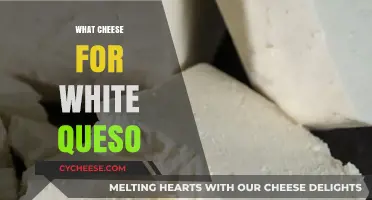 Perfect White Queso: Best Cheese Choices for Creamy, Smooth Texture