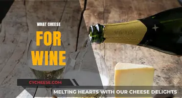 Perfect Pairings: Choosing the Best Cheese for Your Wine Selection