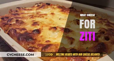 Perfect Cheese Pairings for Ziti: Elevate Your Baked Pasta Dish